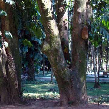 Exposição no Palácio do Horto